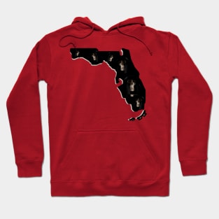 Florida The Reaper State Hoodie